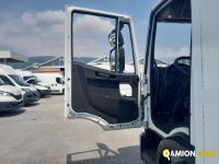 Iveco Mod. IVECO Vers. IVECO | Leggero Cabinato > 35 q.li Furgonato con sponda | INDUSTRIAL CARS S.P.A