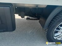 Iveco Mod. IVECO Vers. IVECO | Leggero Cabinato <= 35 q.li Altro | INDUSTRIAL CARS S.P.A
