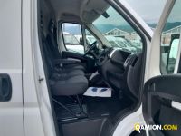 Fiat used - 269,300 km - Treviso - 2019 - van | INDUSTRIAL CARS S.P.A - Foto 12