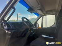 Iveco usato - 254.790 km - Treviso - 2020 - cabinato | INDUSTRIAL CARS S.P.A - Foto 14