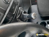Iveco Mod. IVECO Vers. IVECO | Leggero Cabinato > 35 q.li Furgonato con sponda | INDUSTRIAL CARS S.P.A