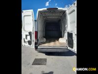 Iveco Mod. IVECO Vers. IVECO | Leggero Furgone <= 35 q.li Altro | INDUSTRIAL CARS S.P.A