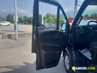 Iveco Mod. IVECO Vers. IVECO | Leggero Cabinato <= 35 q.li Altro | INDUSTRIAL CARS S.P.A