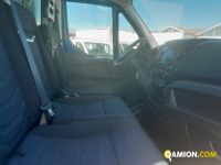 Iveco occasion - 142 400 km - Treviso - 2021 | INDUSTRIAL CARS S.P.A - Foto 14
