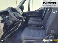 Iveco DAILY 35C14 DAILY 35C14 Altro | Iveco Orecchia
