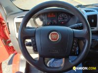 Fiat DUCATO CAMBIO AUTOMATICO DUCATO CAMBIO AUTOMATICO Altro | Iveco Orecchia