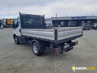 Iveco DAILY 35C11 DAILY 35C11 | Iveco Orecchia