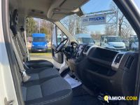 Fiat DUCATO DUCATO Altro | Iveco Orecchia