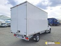 Fiat DUCATO DUCATO Altro | Iveco Orecchia