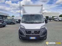 Fiat DUCATO DUCATO Altro | Iveco Orecchia