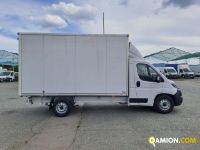 Fiat DUCATO DUCATO Altro | Iveco Orecchia