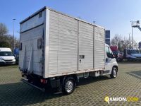 Fiat DUCATO DUCATO Altro | Iveco Orecchia