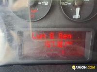 Iveco DAILY 35C11 DAILY 35C11 | Iveco Orecchia