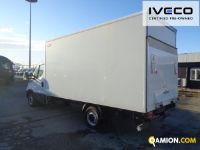 Iveco DAILY 35S16 - 4100 DAILY 35S16 - 4100 Altro | Iveco Orecchia
