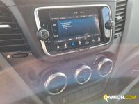 Iveco DAILY 35C18 3.0 - 4100 | Iveco Orecchia