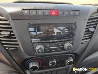Iveco DAILY 35S14H DAILY 35S14H | Iveco Orecchia