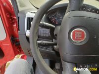 Fiat DUCATO DUCATO Altro | Iveco Orecchia