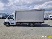 Fiat ducato - alza/abbassa occasion - 407 402 km - 2017 | Iveco Orecchia - Foto 12