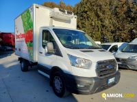 Ford TRANSIT TRANSIT Altro | Iveco Orecchia