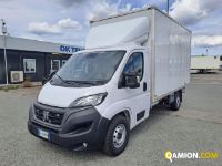 Fiat DUCATO DUCATO Altro | Iveco Orecchia