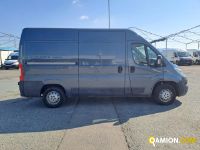 Fiat DUCATO DUCATO Altro | Iveco Orecchia
