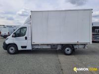 Fiat DUCATO DUCATO Altro | Iveco Orecchia