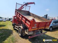 Iveco DAILY RIBALTABILE GRU | Altro Altro