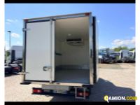 Iveco DAILY 35C16 H - FURGONE ISOTERMICO CON GRUPPO FRIGO DAILY 35C16 H - FURGONE ISOTERMICO CON GRUPPO FRIGO Altro | TENTORI