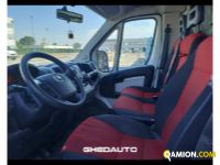 Fiat DUCATO DUCATO | Leggeri <= 3,5 Altro | GHEDAUTO Veicoli Industriali S.r.l.