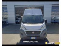 Fiat DUCATO DUCATO | Leggeri <= 3,5 Altro | GHEDAUTO Veicoli Industriali S.r.l.