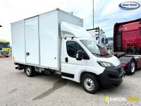 Fiat ducato maxi c.a. occasion - 42 800 km - Treviso | Mason Trucks - Foto 1