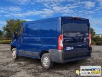 Fiat DUCATO DUCATO | Leggero Furgone > 35 q.li Altro | Borgo Agnello S.p.A.