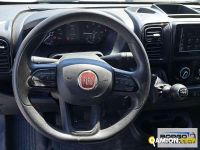 Fiat DUCATO DUCATO | Leggero Furgone > 35 q.li Altro | Borgo Agnello S.p.A.