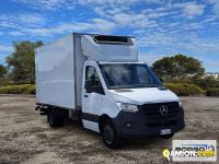 Mercedes SPRINTER SPRINTER | Altro Isotermico / coibentato | Borgo Agnello S.p.A.