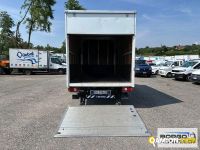 Iveco DAILY 35C14 DAILY 35C14 | Leggero Furgone > 35 q.li Altro | Borgo Agnello S.p.A.