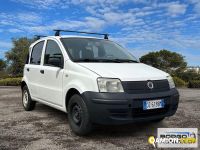 Fiat PANDA PANDA | Automobile Altro | Borgo Agnello S.p.A.