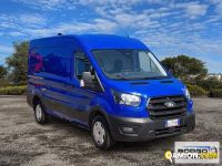 Ford TRANSIT TRANSIT | Leggero Furgone > 35 q.li Altro | Borgo Agnello S.p.A.