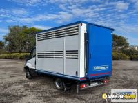 Iveco DAILY 35C14 DAILY 35C14 | Sollevamento e movimentazione Trasporto animali | Borgo Agnello S.p.A.