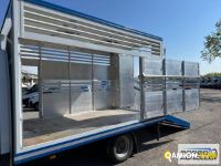 Iveco DAILY 35C14 DAILY 35C14 | Sollevamento e movimentazione Trasporto animali | Borgo Agnello S.p.A.