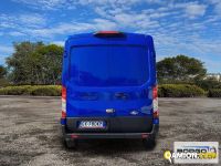 Ford TRANSIT TRANSIT | Leggero Furgone > 35 q.li Altro | Borgo Agnello S.p.A.