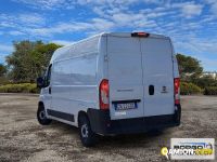 Fiat DUCATO DUCATO | Leggero Furgone > 35 q.li Altro | Borgo Agnello S.p.A.
