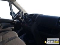 Fiat DUCATO DUCATO | Leggero Furgone > 35 q.li Altro | Borgo Agnello S.p.A.