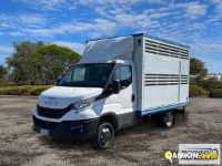 Iveco DAILY 35C14 DAILY 35C14 | Sollevamento e movimentazione Trasporto animali | Borgo Agnello S.p.A.