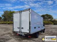 Iveco DAILY 35C16 DAILY 35C16 | Altro Isotermico / coibentato | Borgo Agnello S.p.A.
