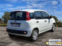 Fiat panda used - 48,145 km - Novara - 2016 - van | Borgo Agnello S.p.A. - Foto 6
