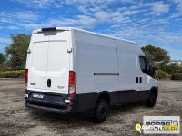 Iveco DAILY 35S14 DAILY 35S14 | Leggero Furgone > 35 q.li Altro | Borgo Agnello S.p.A.