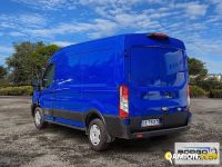 Ford TRANSIT TRANSIT | Leggero Furgone > 35 q.li Altro | Borgo Agnello S.p.A.