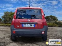 Fiat PANDA PANDA | Automobile Altro | Borgo Agnello S.p.A.
