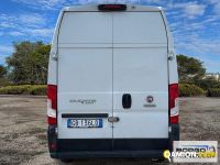 Fiat ducato occasion - 238 163 km - Novara - 2021 - van | Borgo Agnello S.p.A. - Foto 8