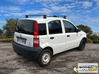 Fiat PANDA PANDA | Automobile Altro | Borgo Agnello S.p.A.